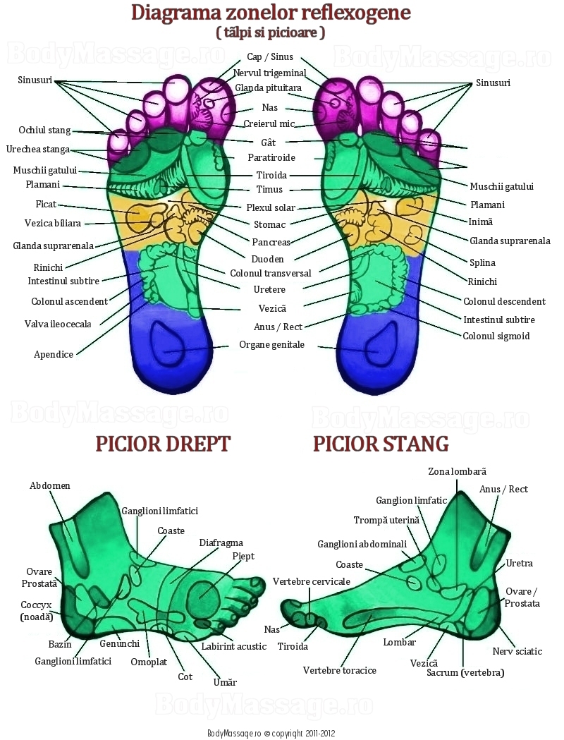 Cauzele și tratamentul durerii la venele din picioare - simptomatologia